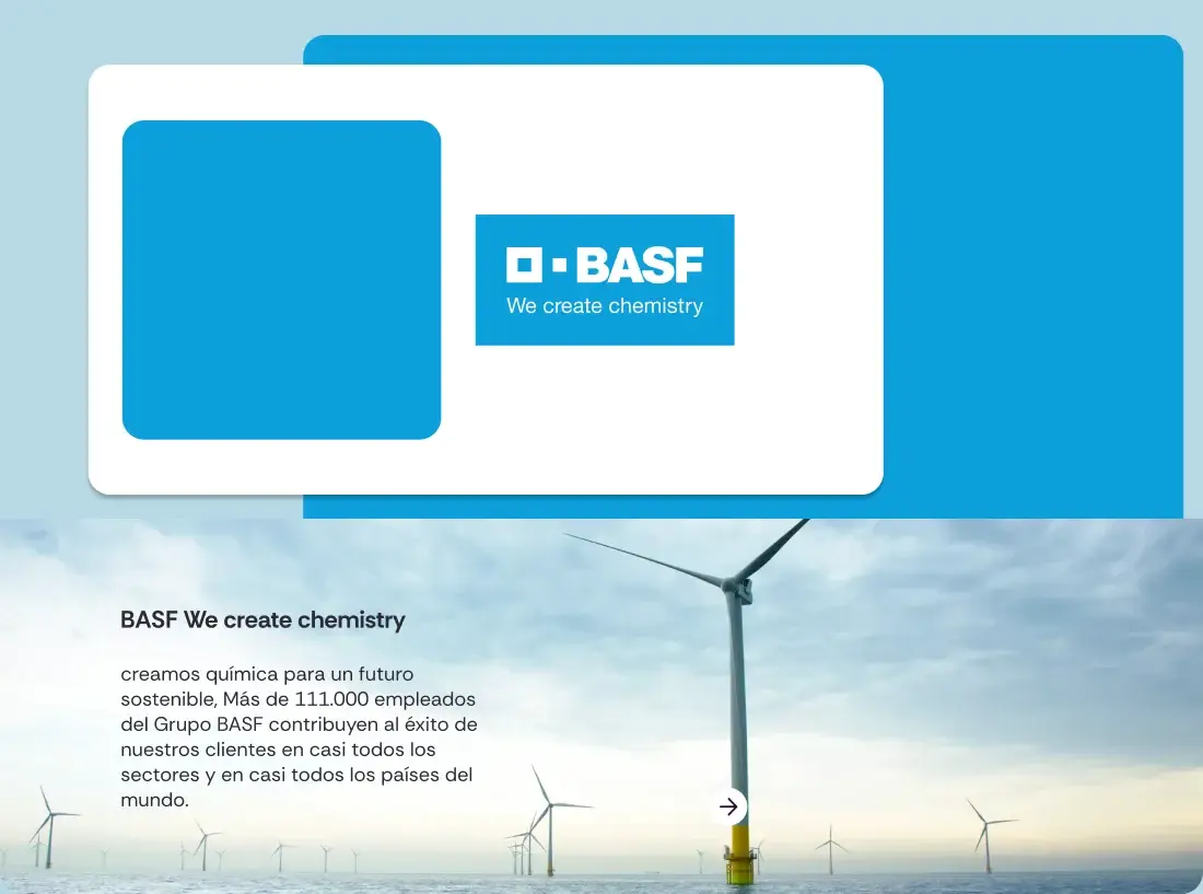 Proyecto BASF
